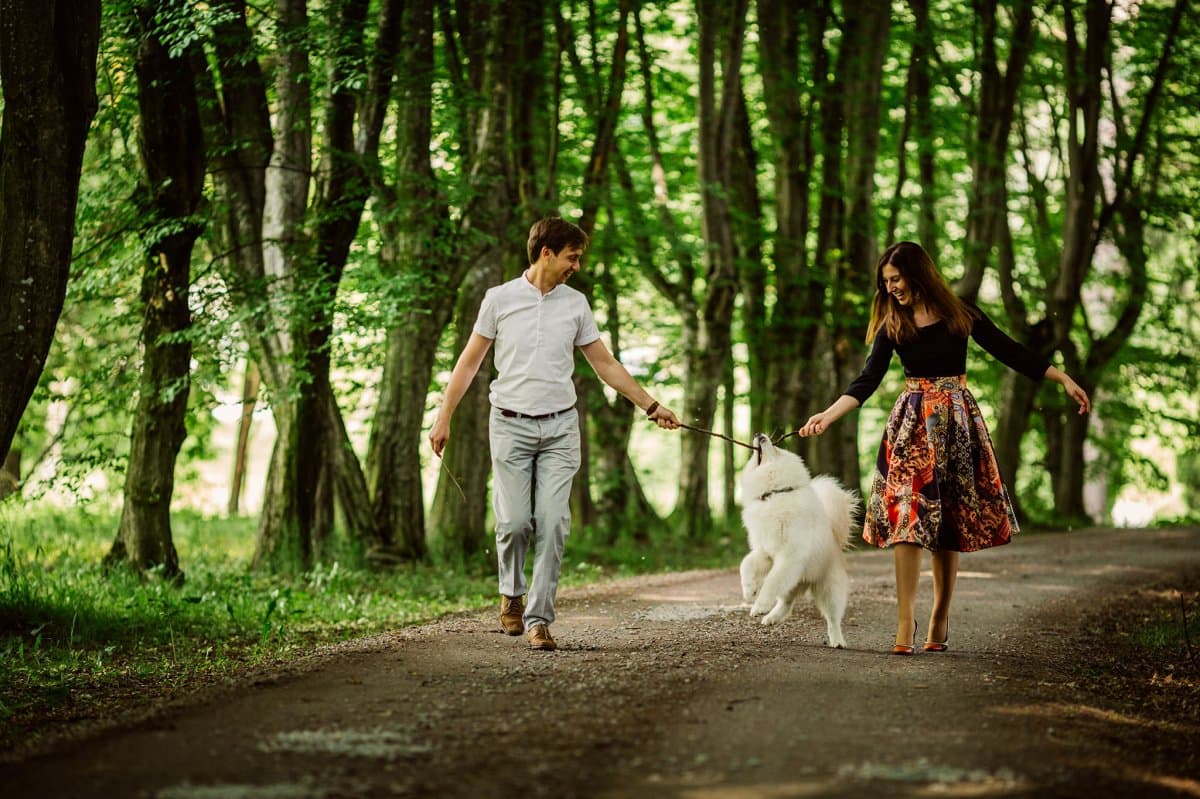 Zabola Estate - Count Mikes Estate - locatie pentru nunti in Zăbala, Covasna