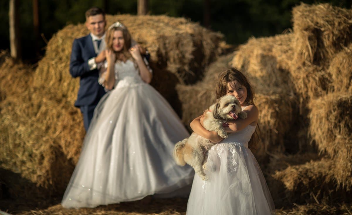 Verdi Felix - locatie pentru nunti in 