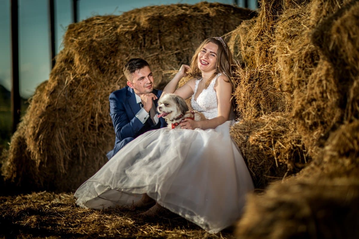 Baile Felix - locatie pentru nunti in Băile Felix, Bihor