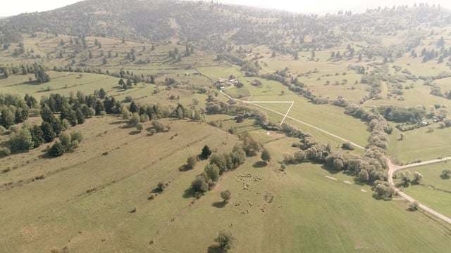 Pension Fox - locatie pentru nunti in Harghita