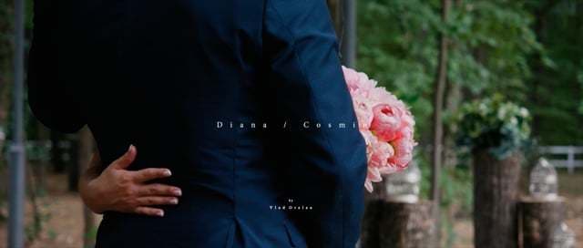 Videoclip de Vlad Otelea la Ciresul Salbatic