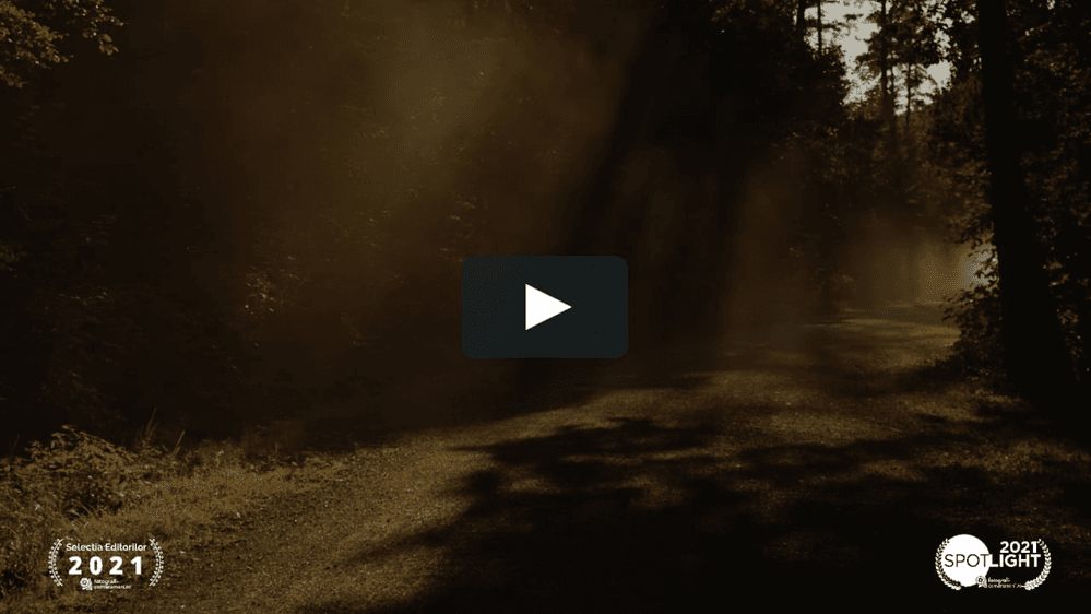 Vanessa &amp; Tim - Fotografii de iendra