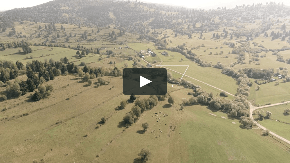 Razvan si Paula - Fotografii de 4D Art - David Nicolae Marius