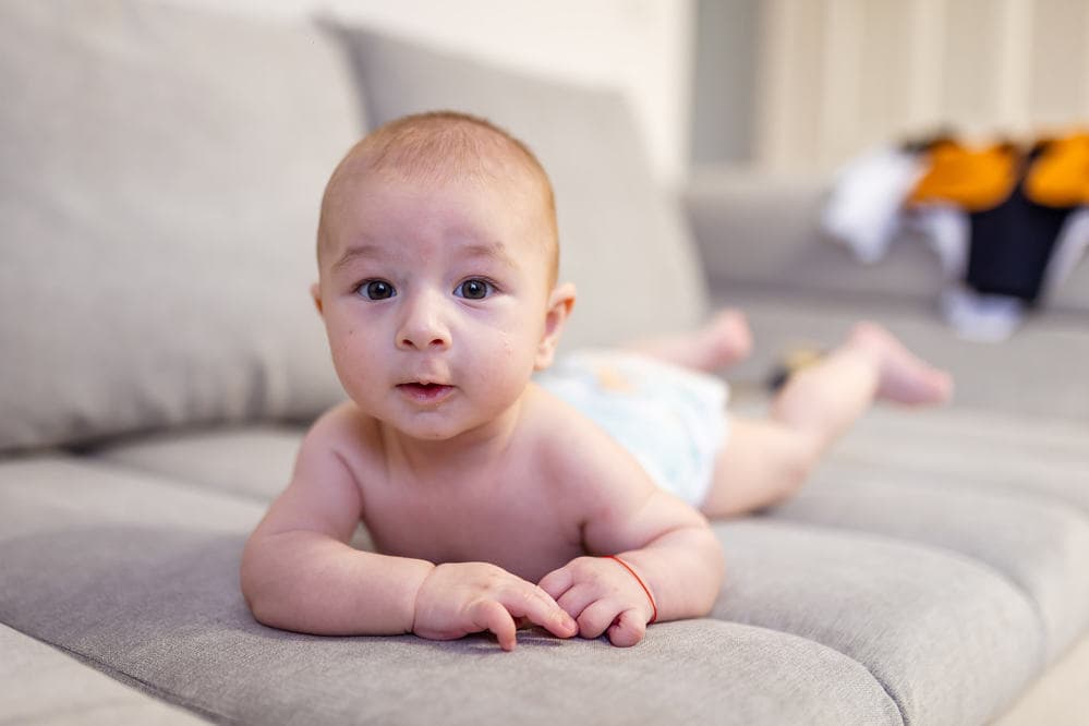 Dorian - Fotografii de Samfira Laurentiu