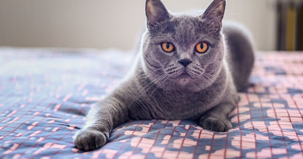 Adriana &amp; Gabi - Fotografii de Sabin Florin