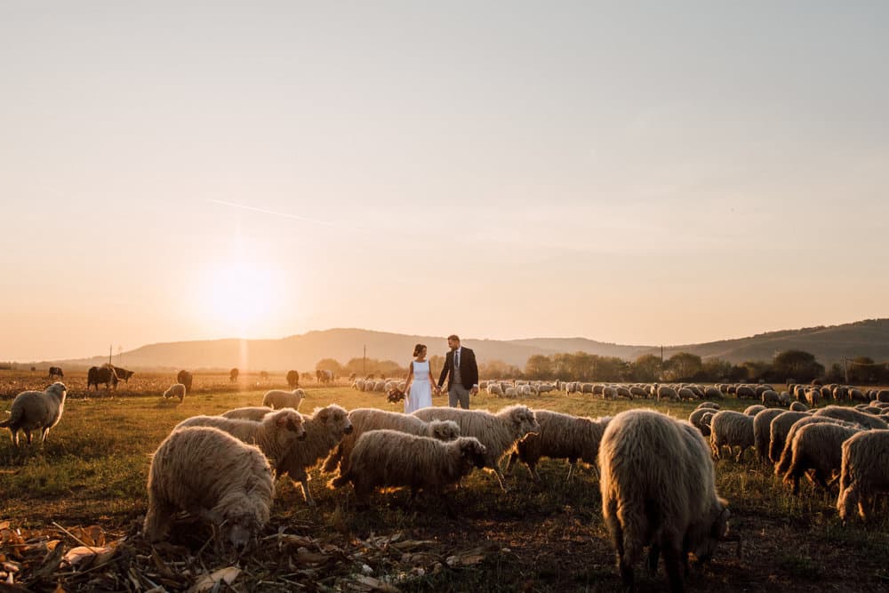 Paula &amp; Dorel - Fotografii de Philip Alex