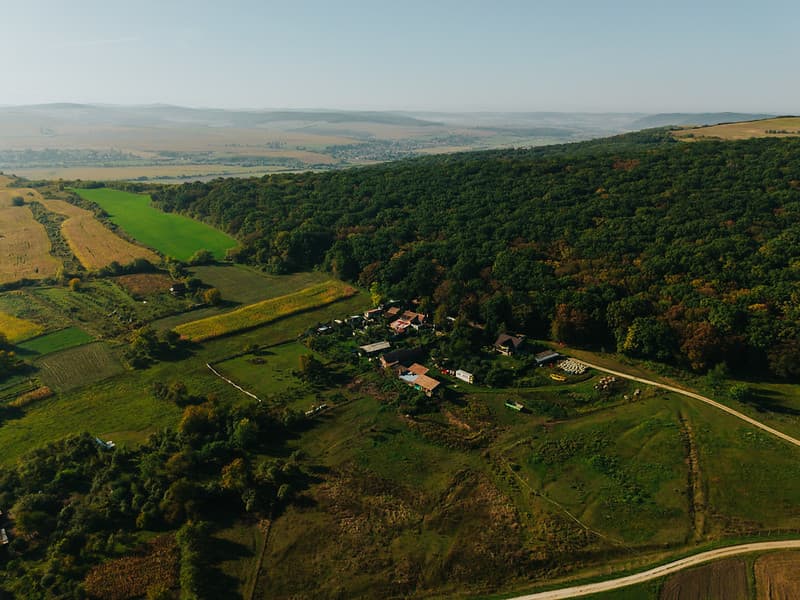 Andra&amp;Stefan - Fotografii de Besenyei Norbert