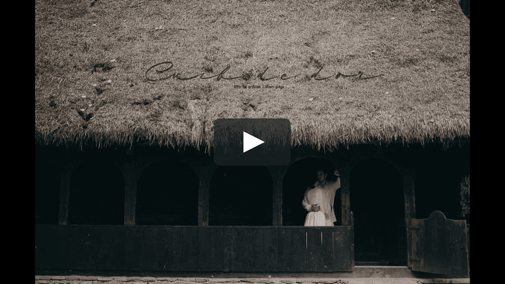 Cuib de dor - Fotografii de lifeisafilm