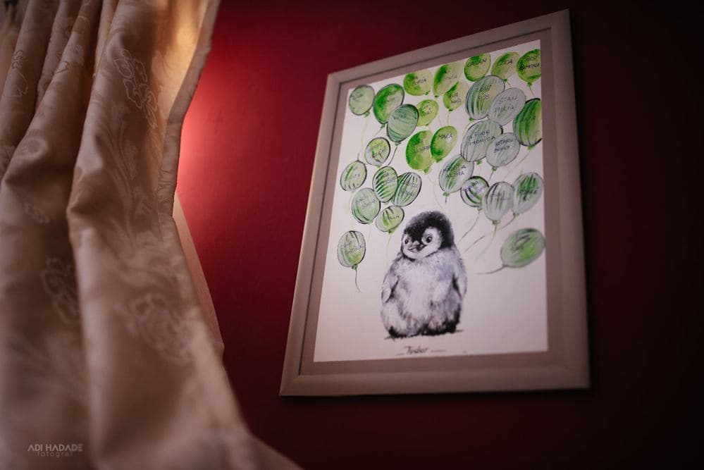 Tudor - Fotografii de Adi Hadade 