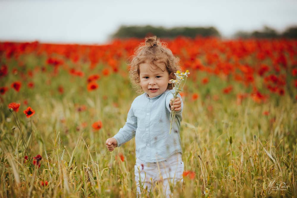 Vladut - Fotografii de Micu Daniel