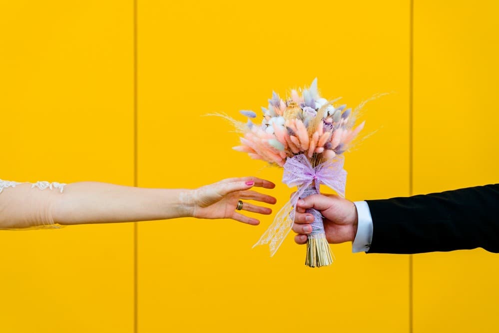 Flori si Luci - Fotografii de Laurentiu Nica