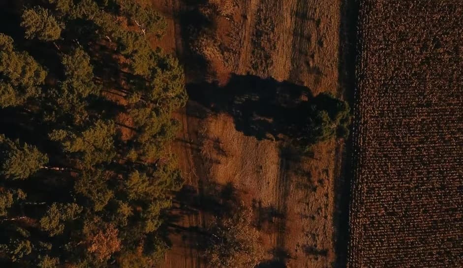 Adelina&amp;Nic - Fotografii de ScriitoriDeImagine