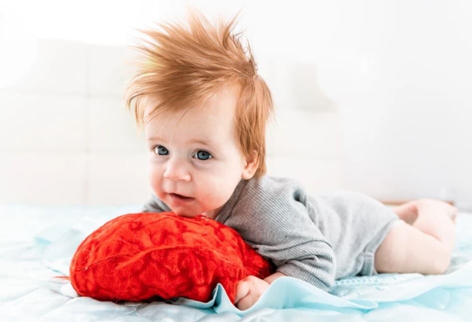 Luca-Gabriel - Fotografii de FOTOGRAPH