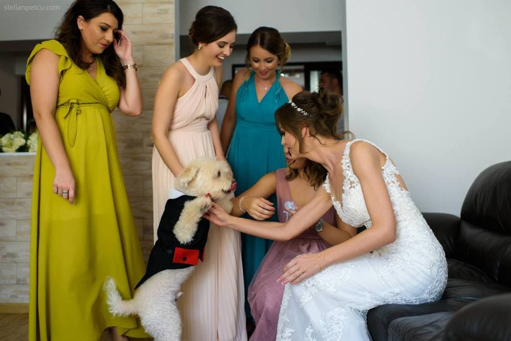 Andra si Darius - Fotografii de Stelian Petcu