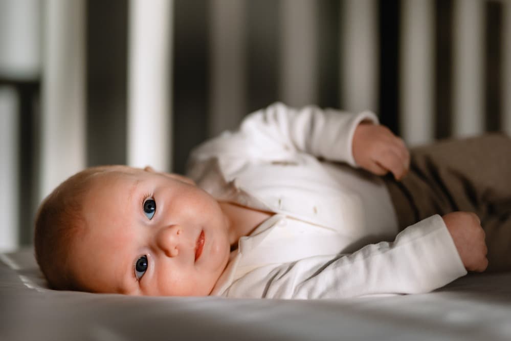 Theodor - Fotografii de Marian Toma