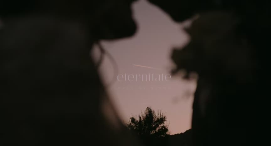 Paul si Diana - Fotografii de Andrei M. Vacar