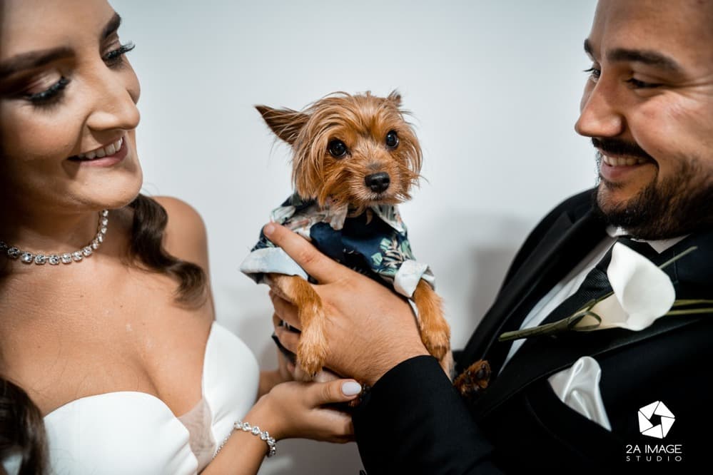 Raluca &amp; Cosmin - Fotografii de 2A Image Studio