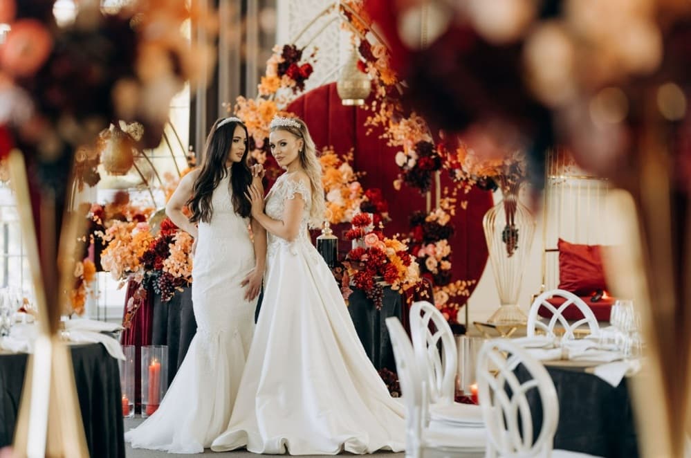  Meniu  - Fotografii de Bogdan Cotruta  Photography