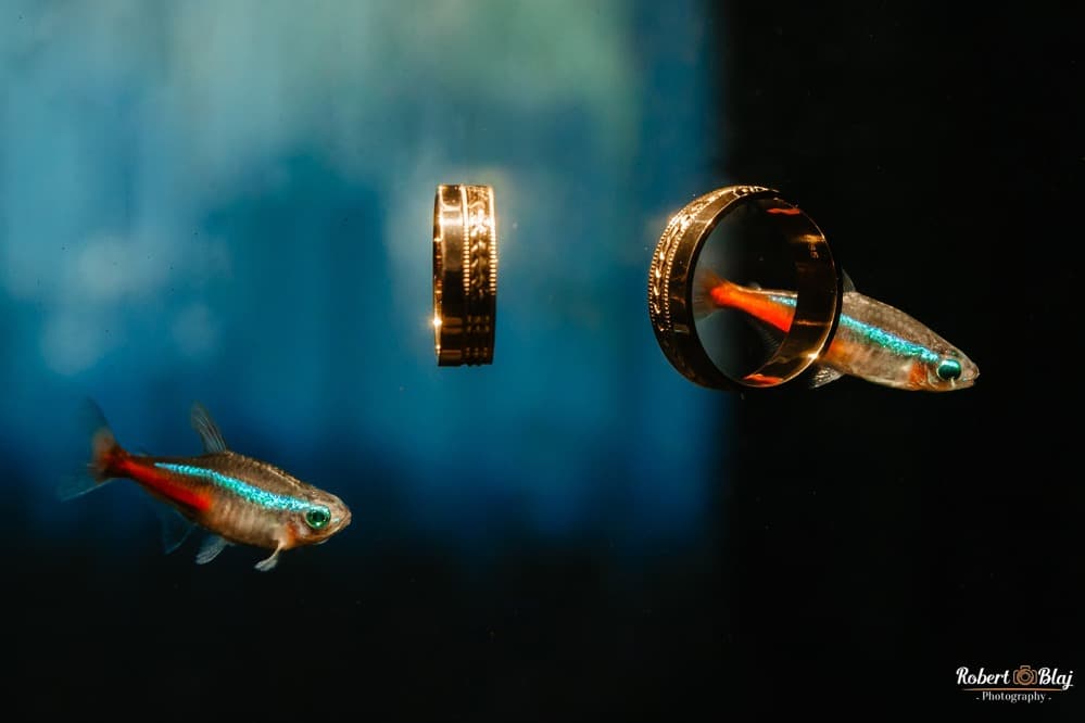 Gabriela &amp; Andrei - Fotografii de Robert Blaj Photography 