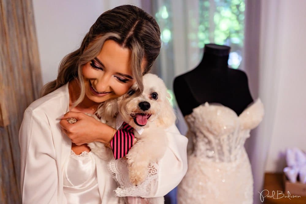 Helena &amp; Adrian - Fotografii de Paul Budusan Fotografie / Videografie de Nunta