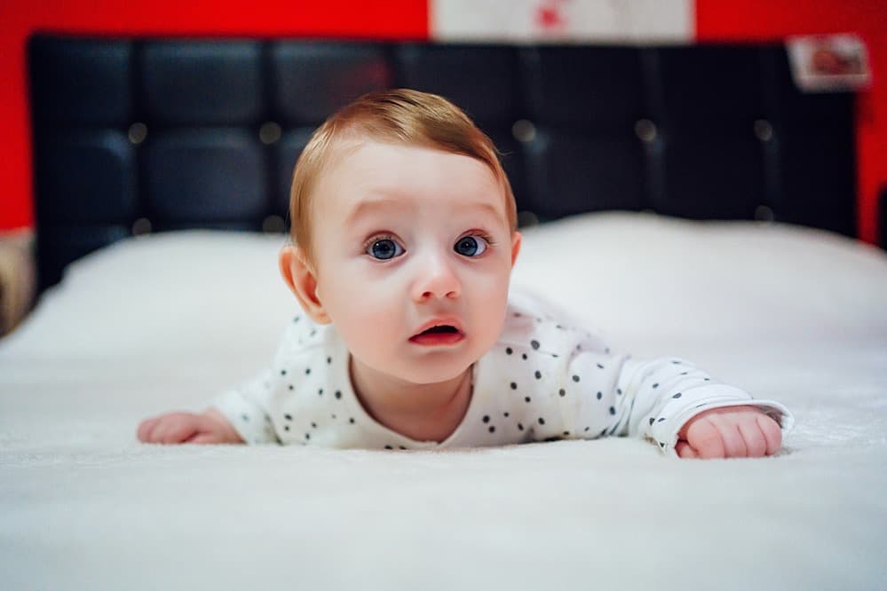 Ádám - Fotografii de Ujfalvi Szilard 