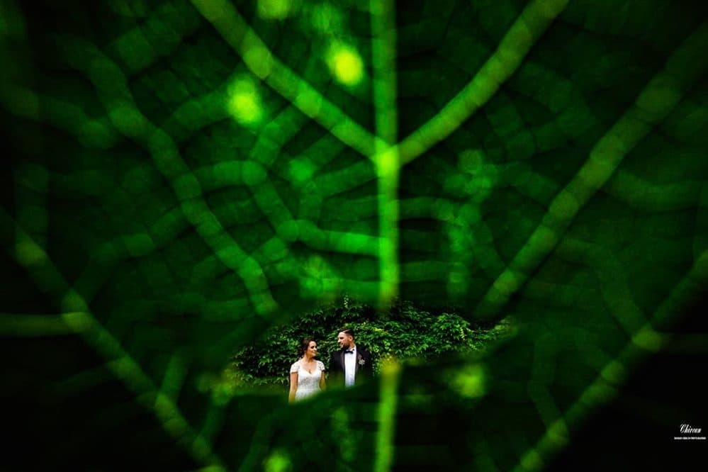 Diana + Alin  - Fotografii de Bogdan Chircan Photographer