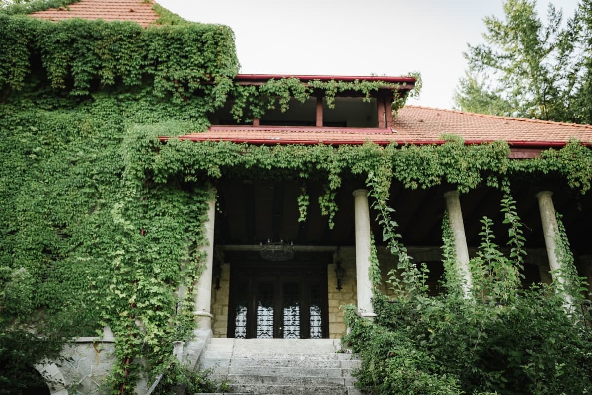 Fotografie de Bogdan Micu la Conacul Matac