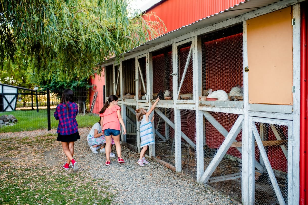 Hanul cu Ponei - locatie pentru nunti in Cârcea, Dolj