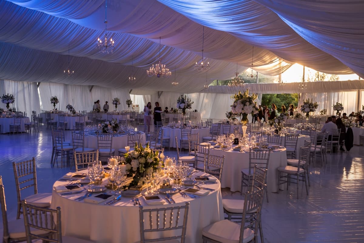 Fotografie de Photogenica la Studiourile Media Pro