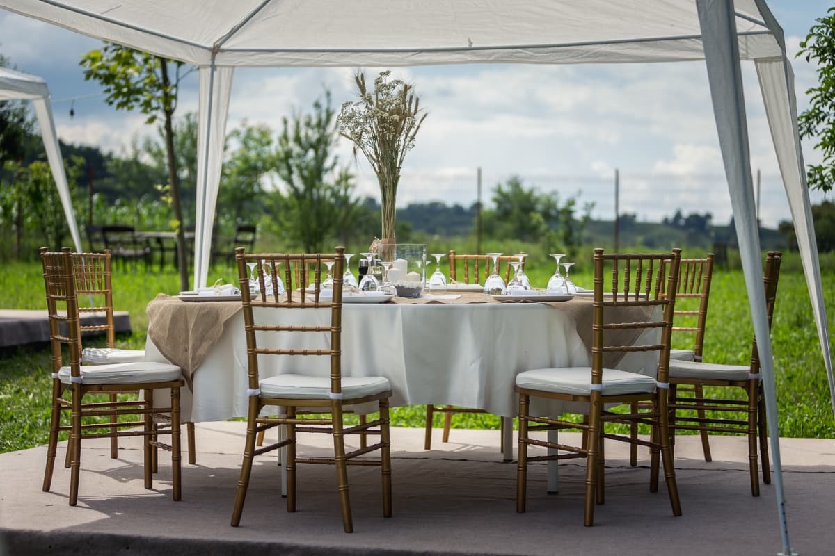 Fotografie de Photogenica la Conacul Lunca Popii