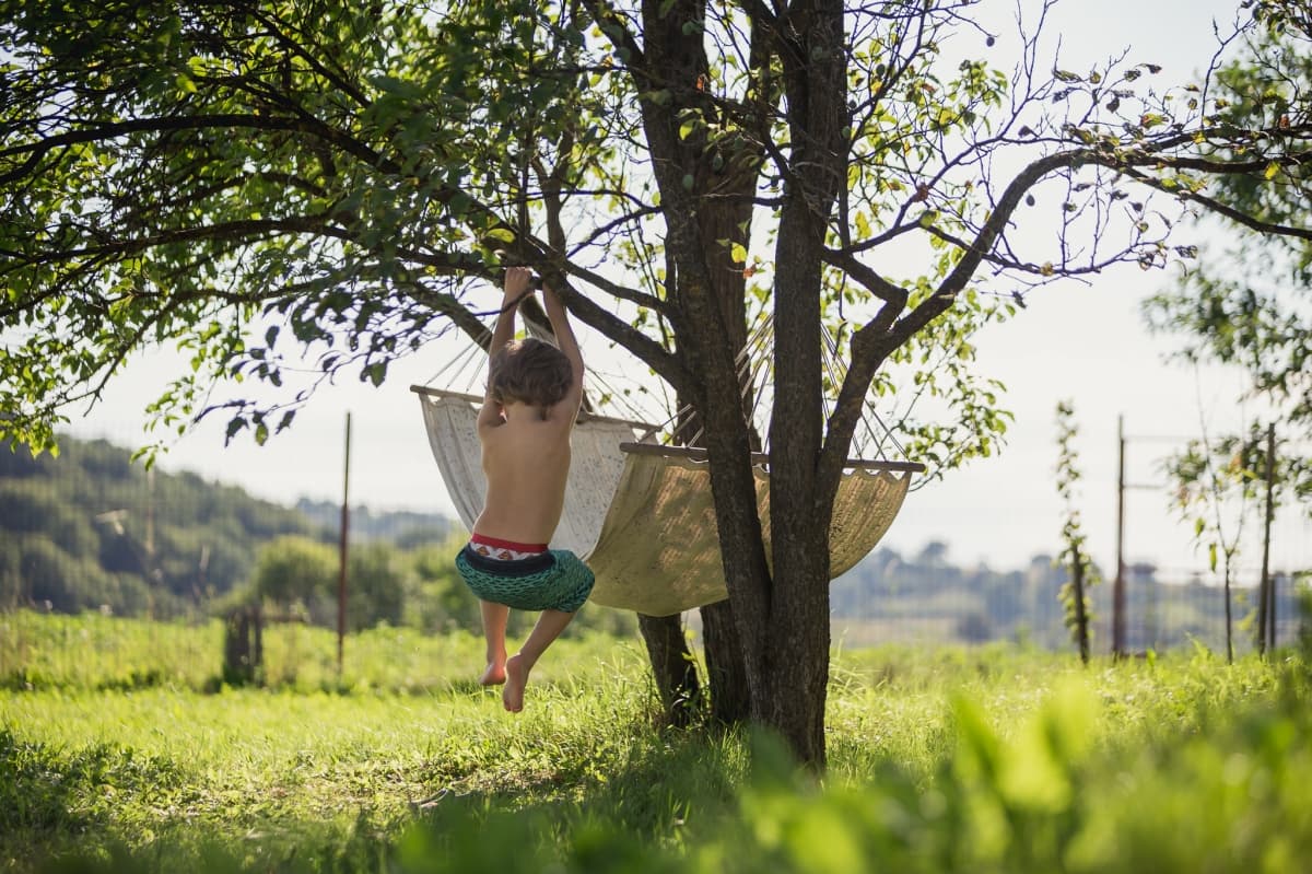 Fotografie de Photogenica la Conacul Lunca Popii