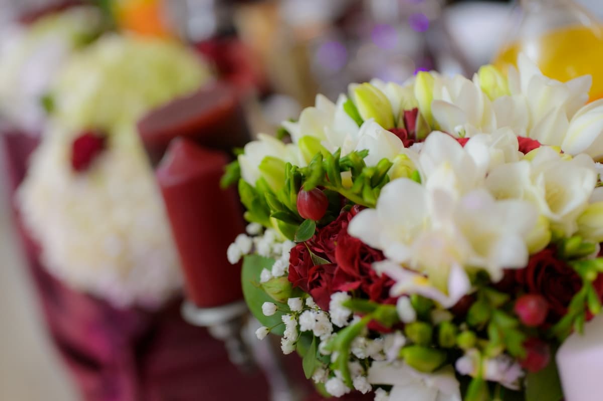 Fotografie de Digitalpromedia la Hotel Brancusi