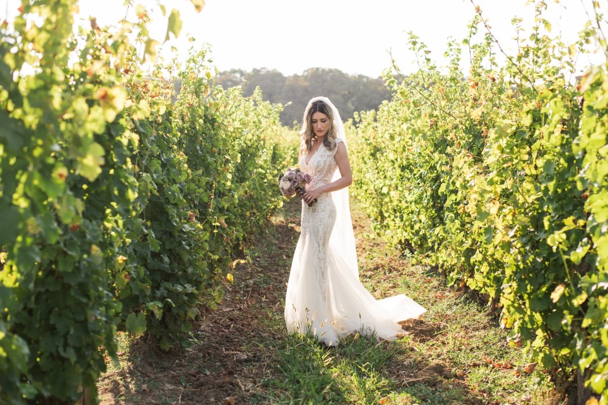 Casa Vlasia - locatie pentru nunti in Ilfov