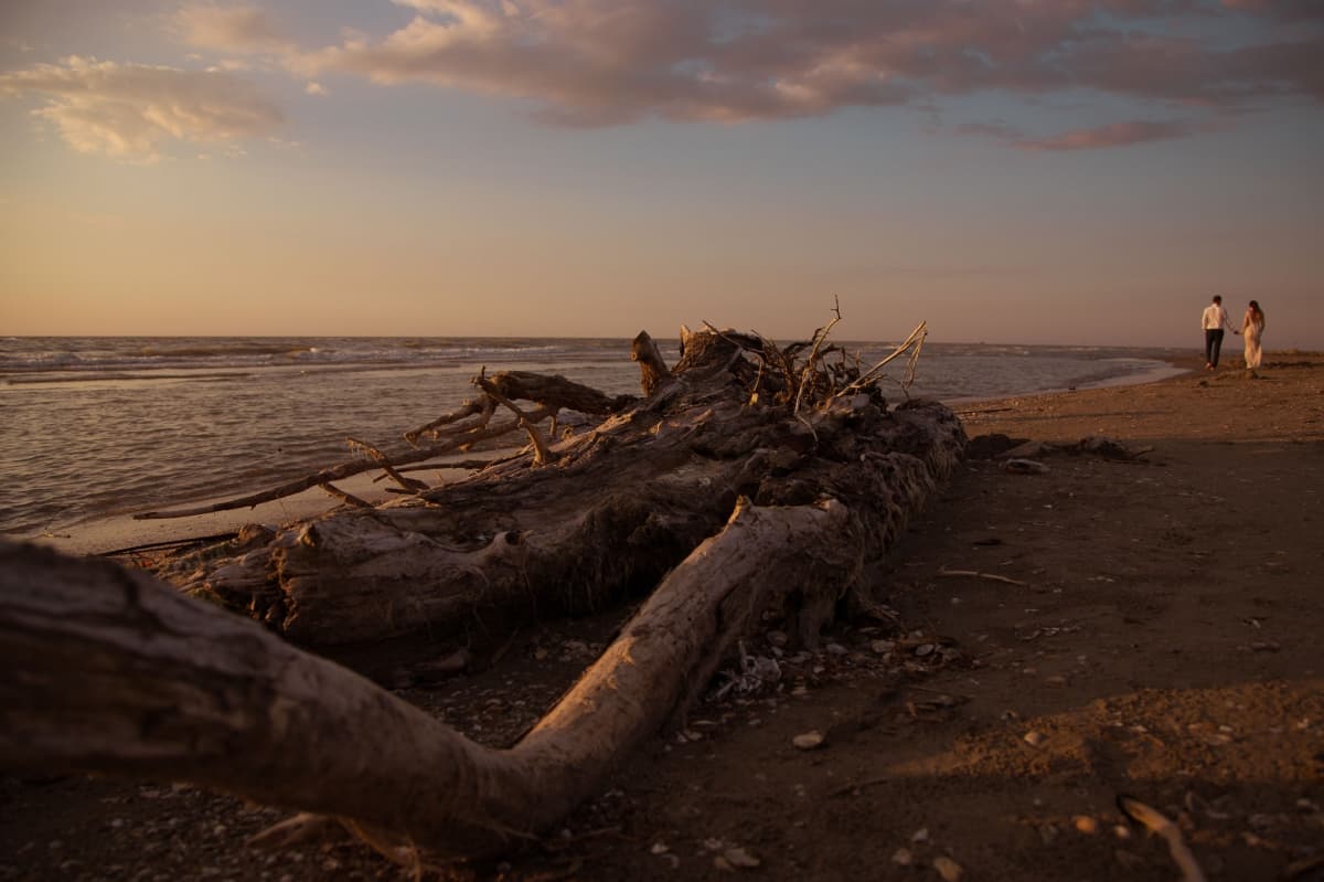 Fotografie de Micu Daniel la Green Village