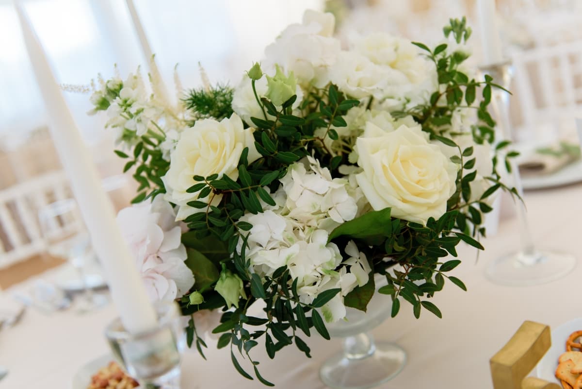 Fotografie de Adina Dumitrescu la Infinity Garden Events