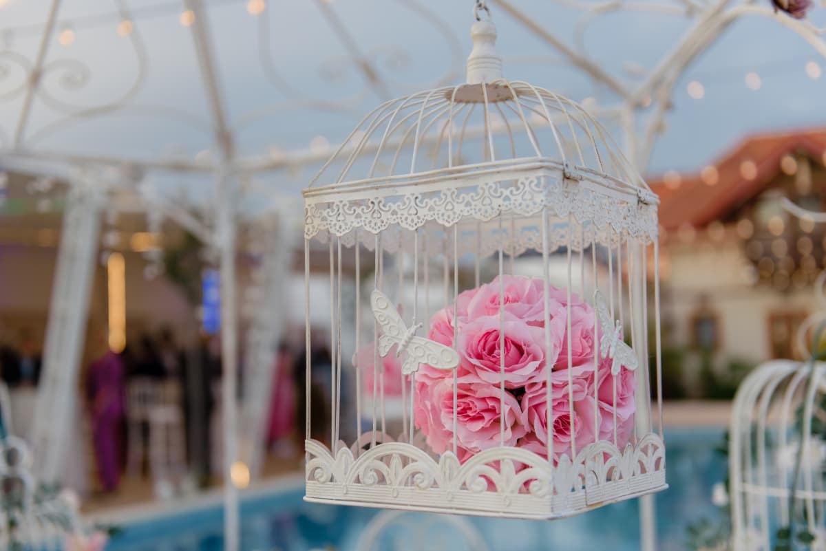 Fotografie de Adina Dumitrescu la Infinity Garden Events