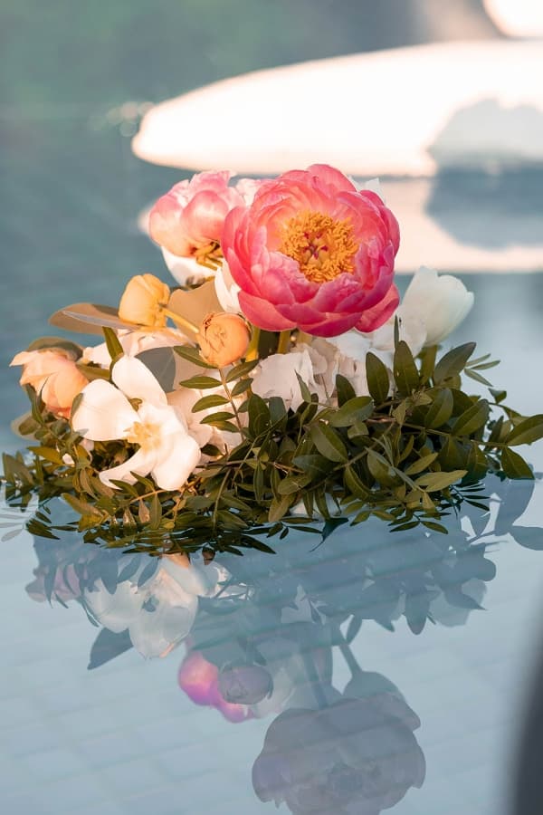 Fotografie de Triff Studio la Eos