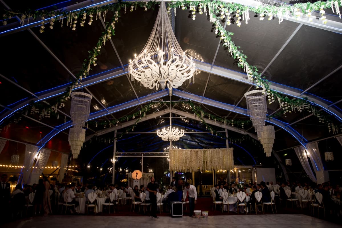 Fotografie de Mihai Roman la Royal Garden 