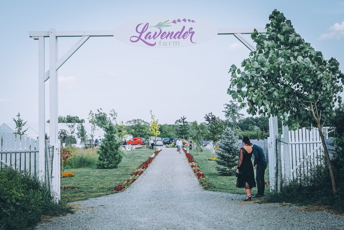 Lavender Farm - locatie pentru nunti in Bihor