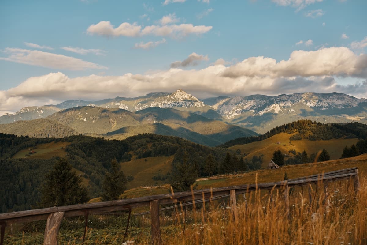Amfiteatrul Transilvania - locatie pentru nunti in Moieciu de Sus, Brașov