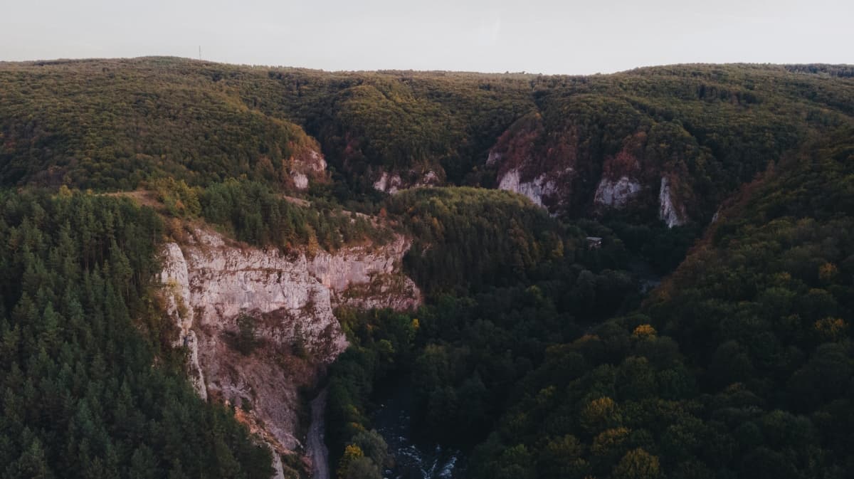 Fotografie de Tudose Alex ( Fotograf &amp; Videograf ) la Suncuius