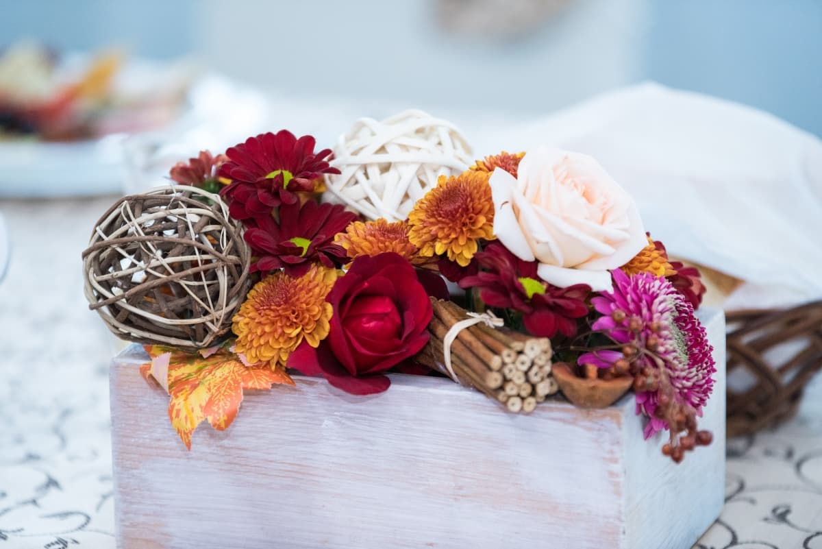 Fotografie de Slagian Peiovici la Castelul Kövér Appel