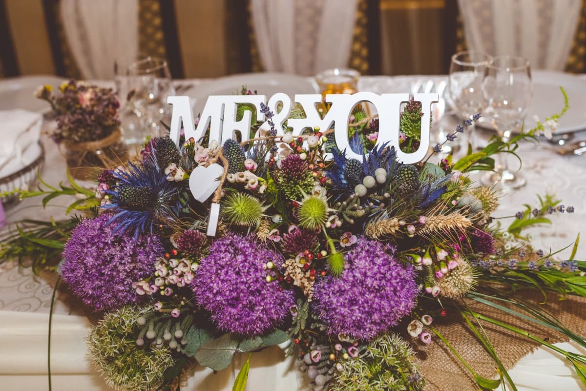 Fotografie de Slagian Peiovici la Popasul Caprioarei