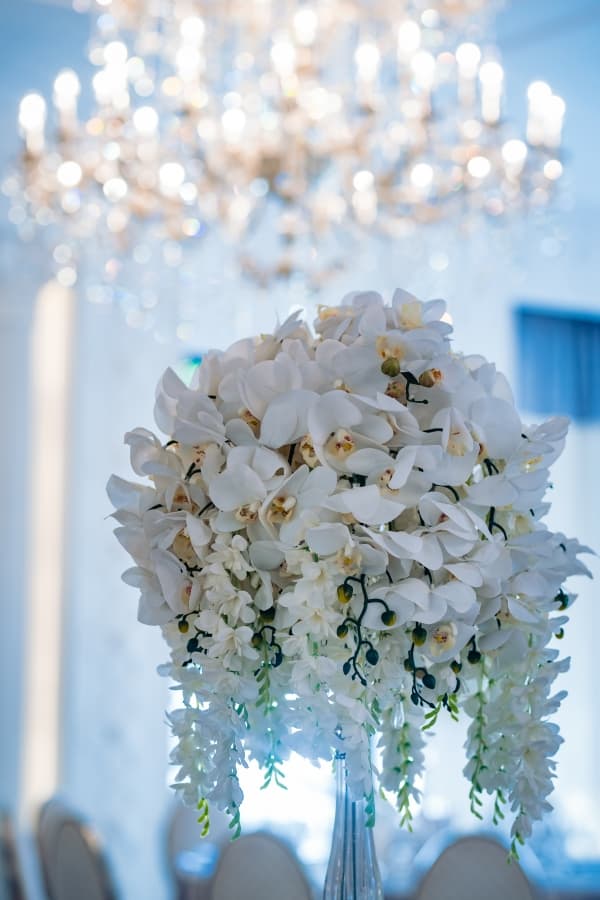 Valery IV - locatie pentru nunti in Timișoara, Timiș