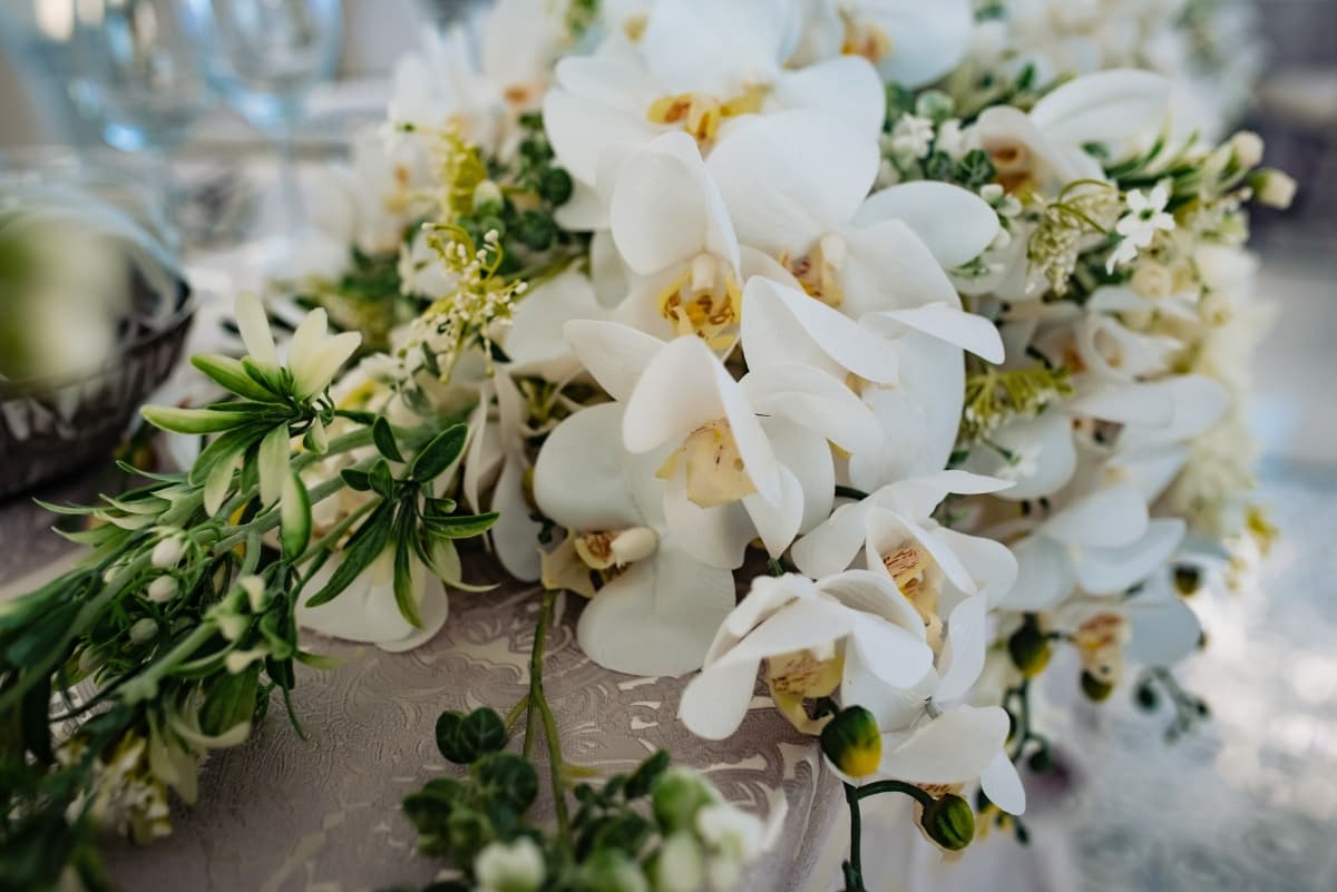 Valery IV - locatie pentru nunti in Timișoara, Timiș