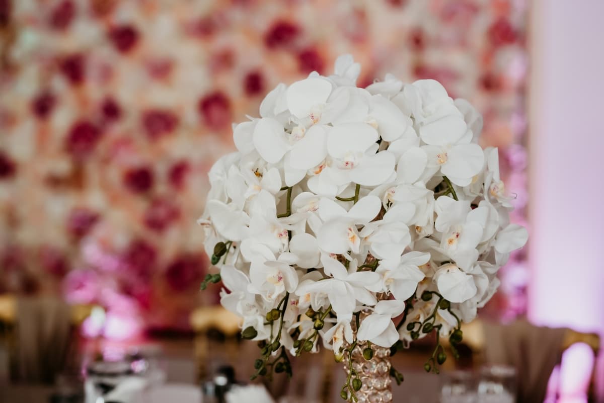 La Arcade - locatie pentru nunti in Caransebeș, Caraș-Severin