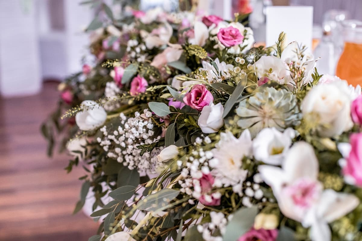 Fotografie de Triff Studio la Levisticum