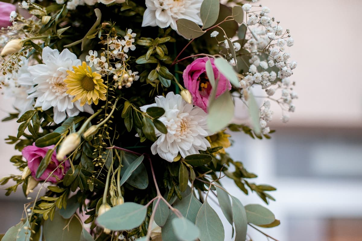 Fotografie de Triff Studio la Levisticum