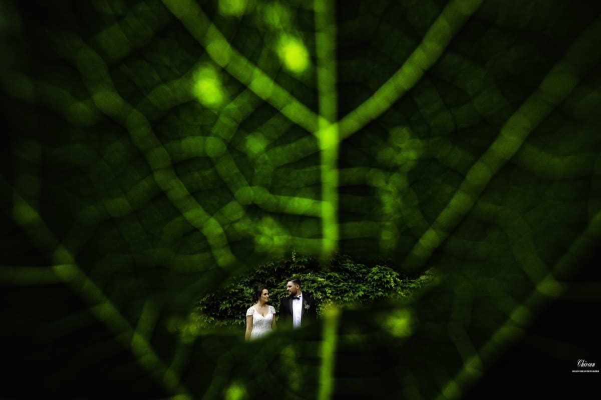 Fotografie de Bogdan Chircan Photographer la American Ballroom - Preciziei