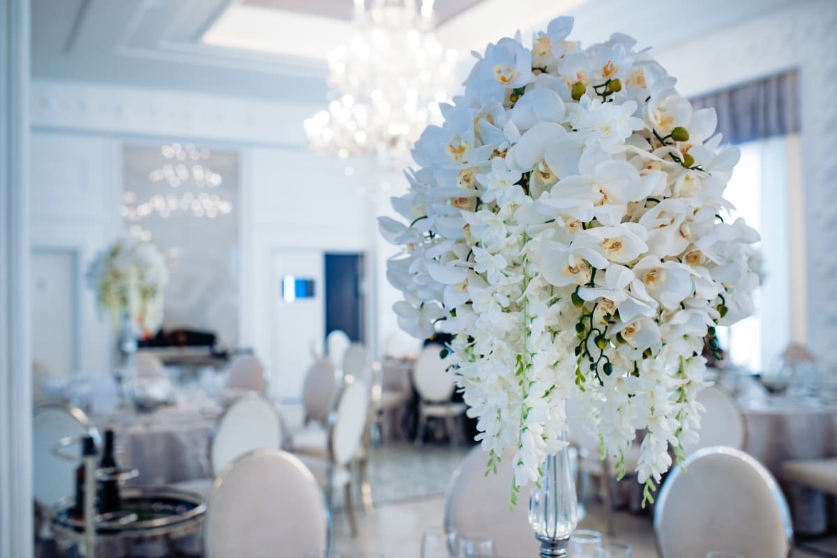 Fotografie de Slagian Peiovici la Valery IV